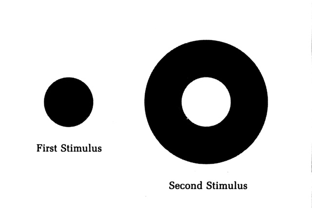 firstsecond-stimulus_.jpg