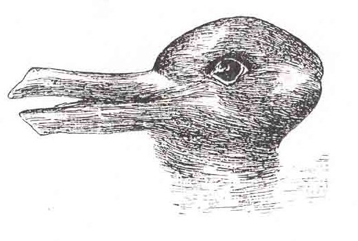 Duck-Rabbit_illusion.jpg