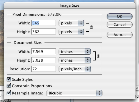 Photoshop CS2 - Image Size Dialog Window