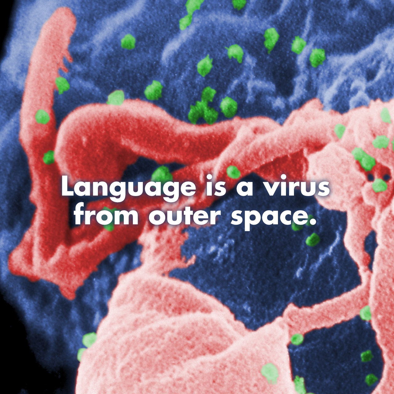 language_is_a_virus.jpg